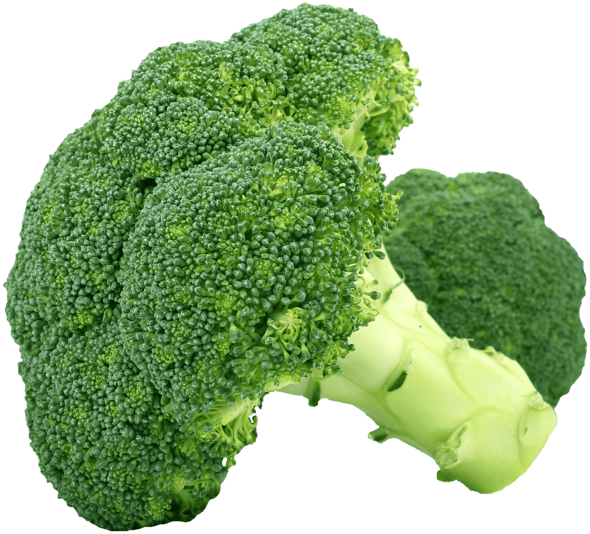 broccoli-1450274_1920