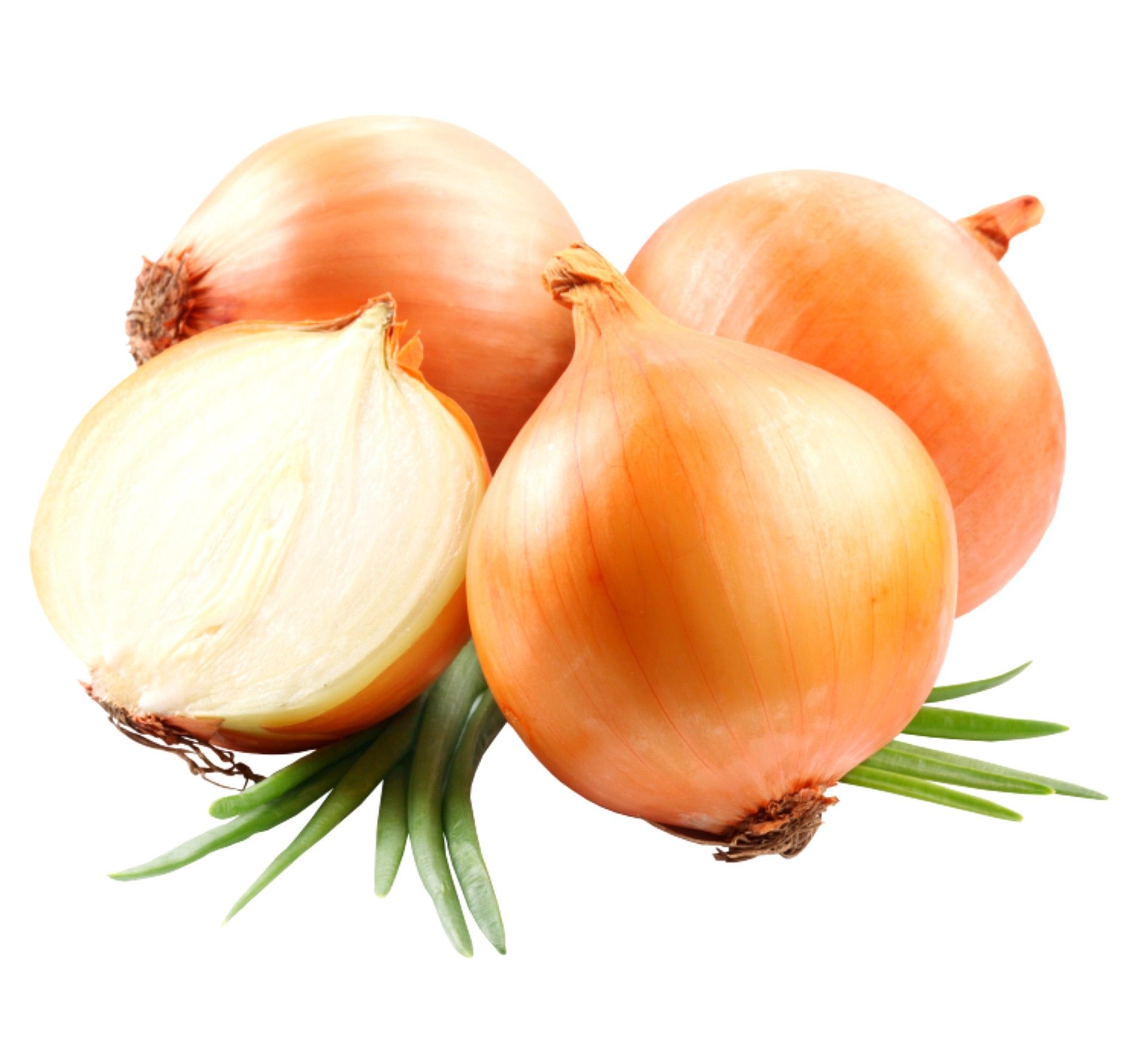 cebolla