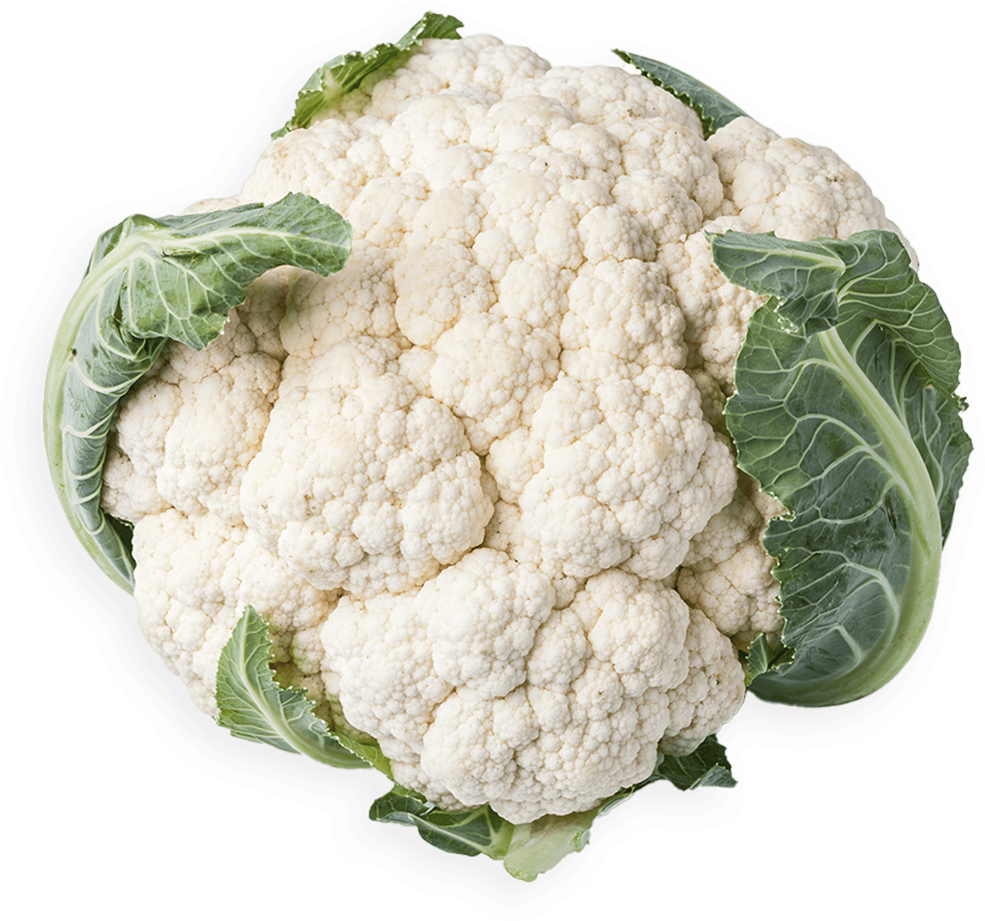 coliflor-blur-03